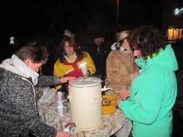 Fotogalerie: Rozsvícení vánočního stromu 2016 #7